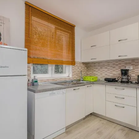 Stunning In With Kitchen Vrbnik (Primorje-Gorski Kotar)